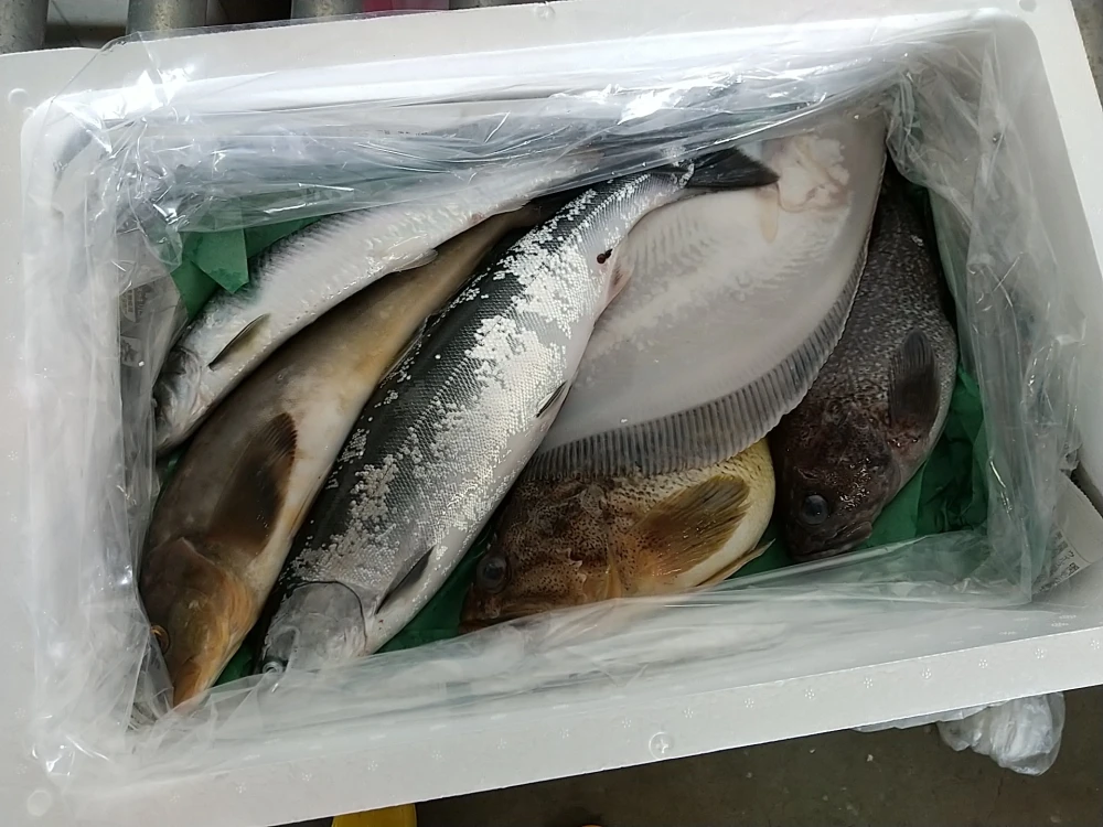 北海道の未利用魚を通できるサイト